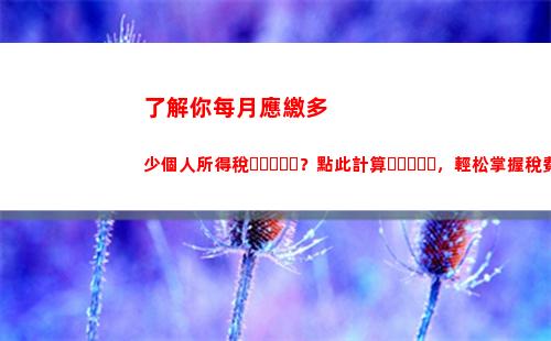個人所得稅計算偶然所得(偶然所得計算個人所得稅時有沒有扣除項目)